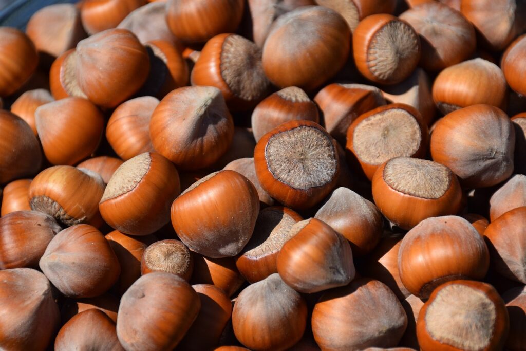 hazelnuts, nutrient, healthy-3783066.jpg